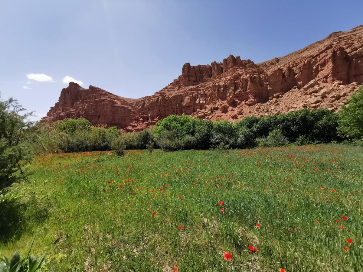 Bab El Atlas Kelaat-M'Gouna Bagian luar foto