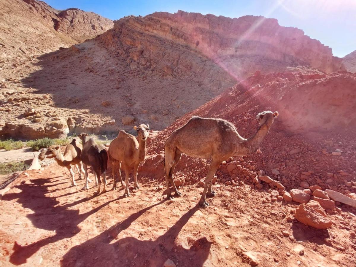 Bab El Atlas Kelaat-M'Gouna Bagian luar foto